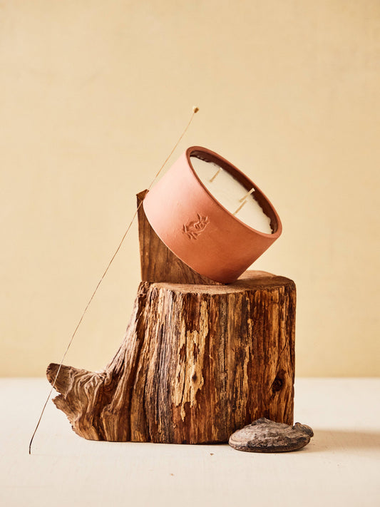 Spiked Cider Candle 22 oz