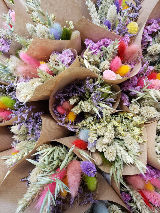 Colourful Dried Mini Flower Bunches